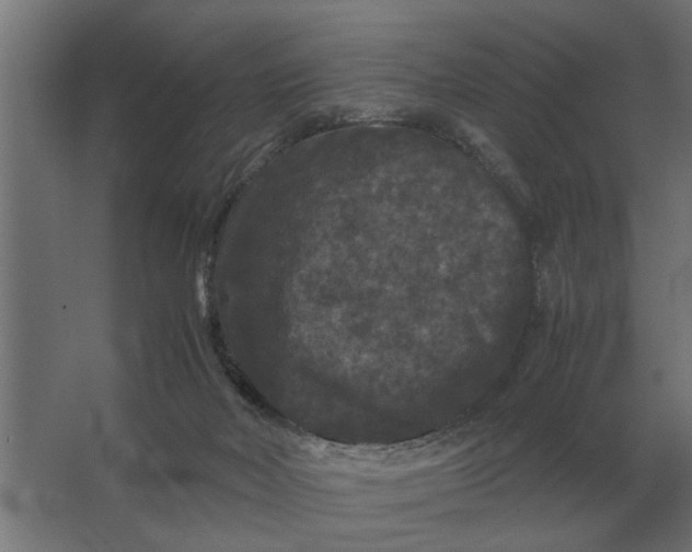 X0000063440026200602031753