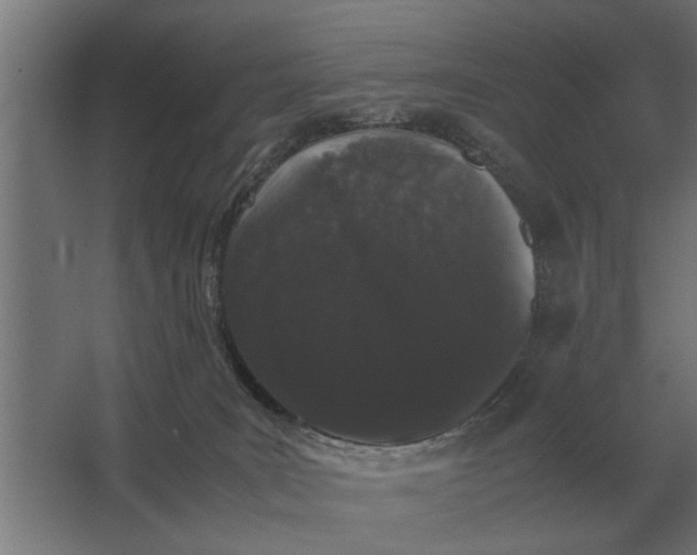 X0000063440035200602031753