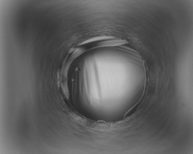 X0000063440037200602031753