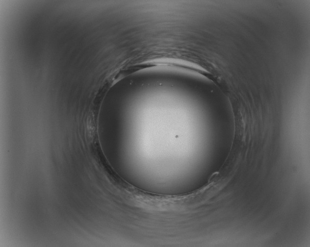 X0000063440040200602031753