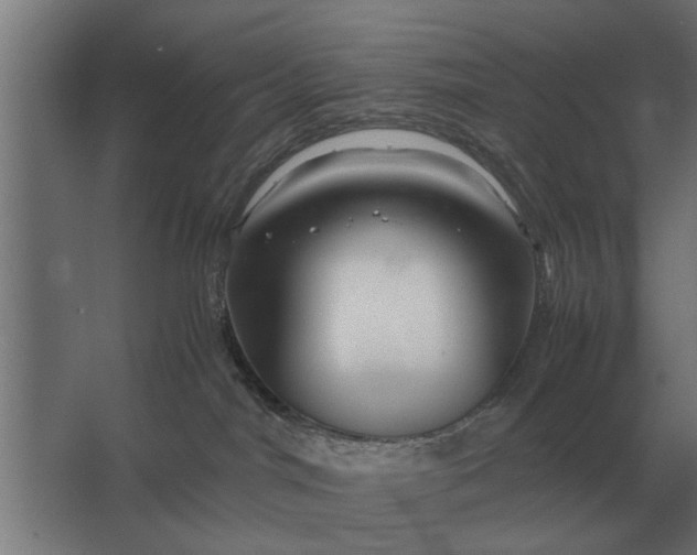 X0000063440044200602031753