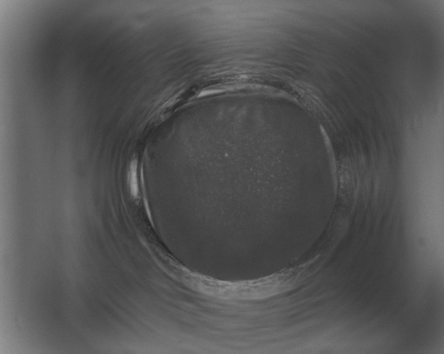 X0000063440046200602031752
