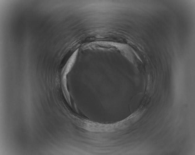 X0000063440048200602031752