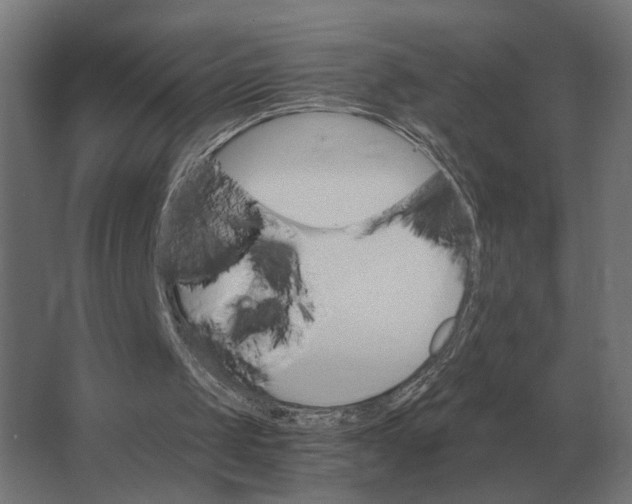 X0000063440049200602031752