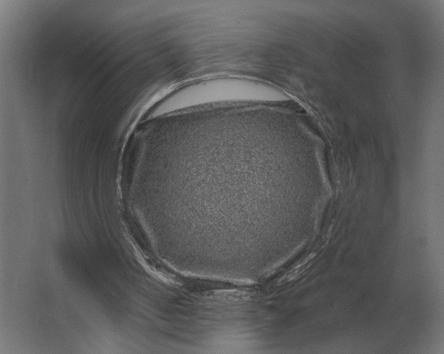 X0000063440050200602031752