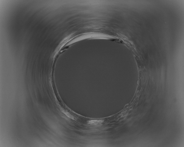 X0000063440051200602031752