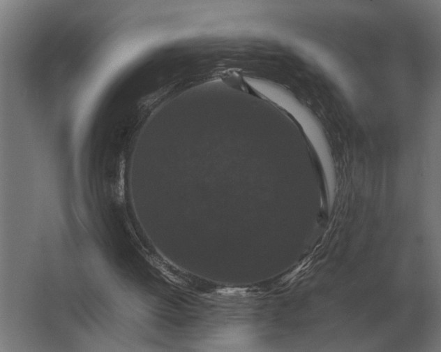 X0000063440052200602031752