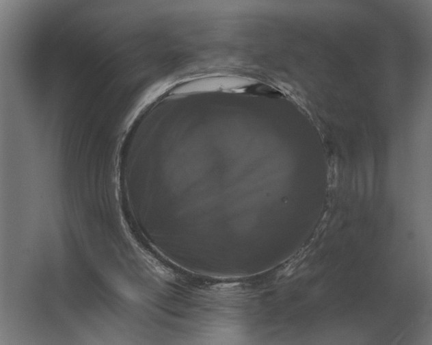 X0000063440054200602031752