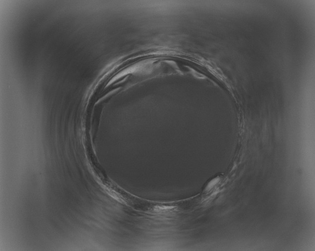 X0000063440055200602031752