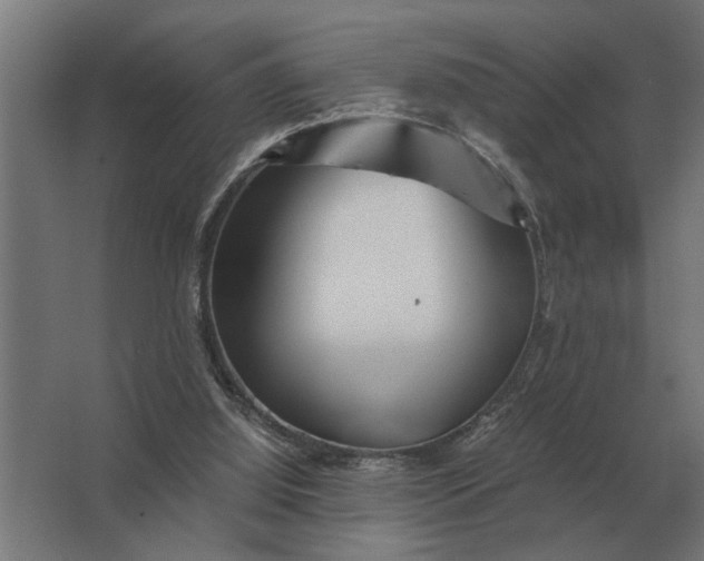 X0000063440060200602031752