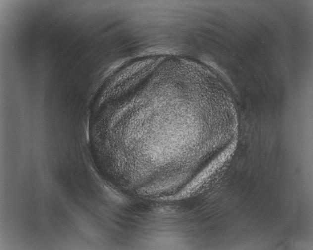 X0000063440062200602031752
