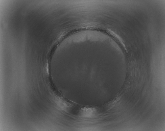 X0000063440067200602031752