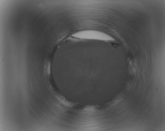 X0000063440076200602031752