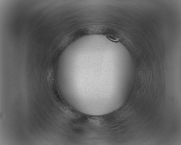 X0000063440079200602031752