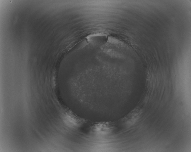 X0000063440080200602031752