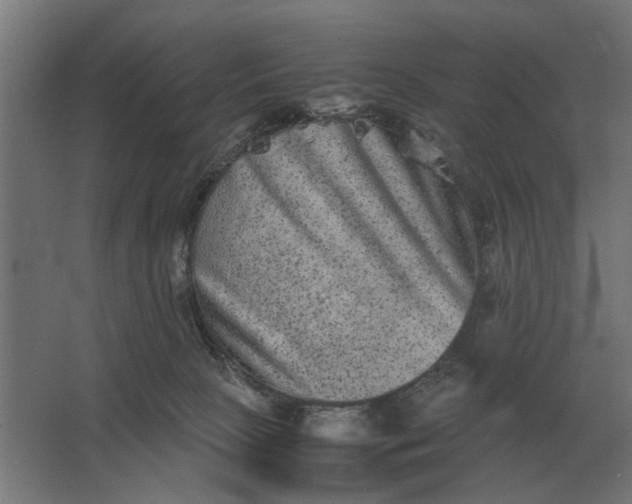 X0000063440081200602031752