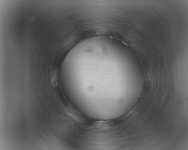 X0000063440082200602031752