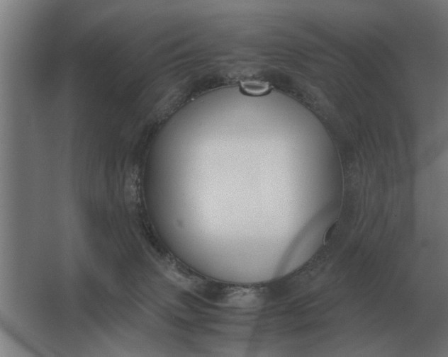 X0000063440083200602031752