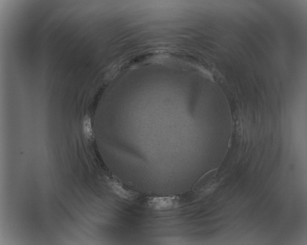 X0000063440089200602031752