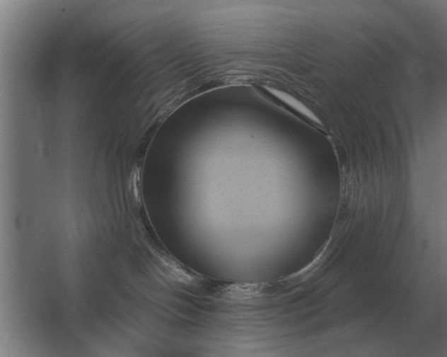 X0000063440094200602031752
