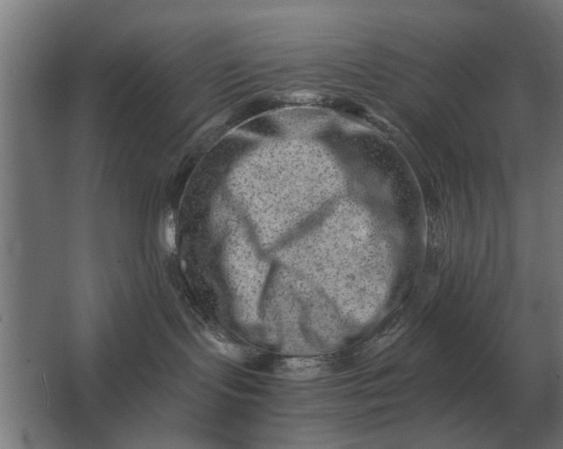 X0000063440095200602031752