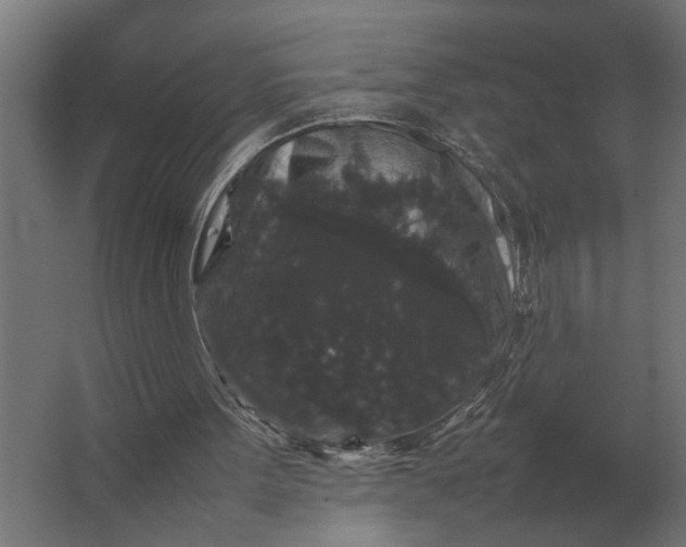 X0000063440099200602031752
