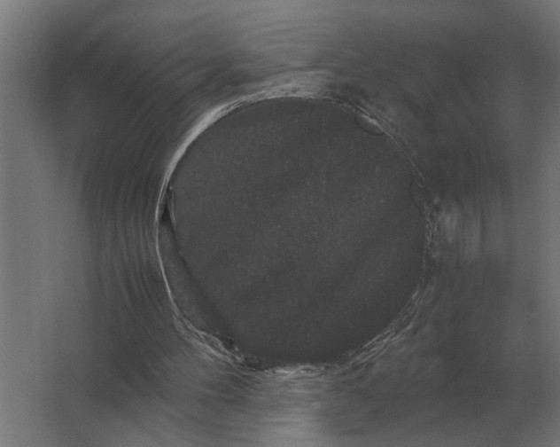 X0000063440100200602031752