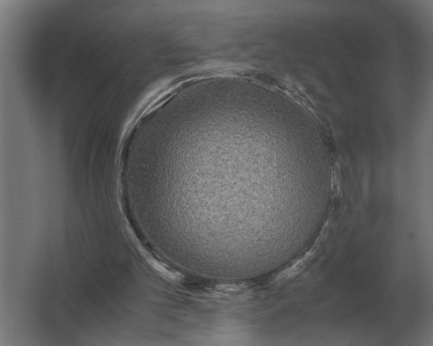 X0000063440101200602031752