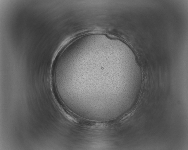 X0000063440102200602031752