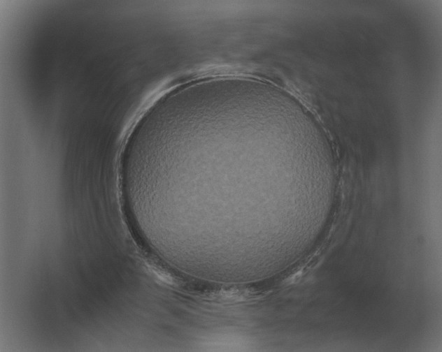 X0000063440103200602031752