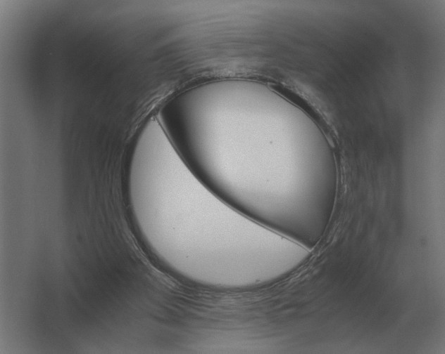 X0000063440105200602031751
