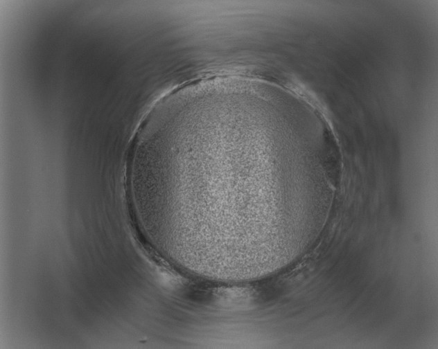 X0000063440107200602031751