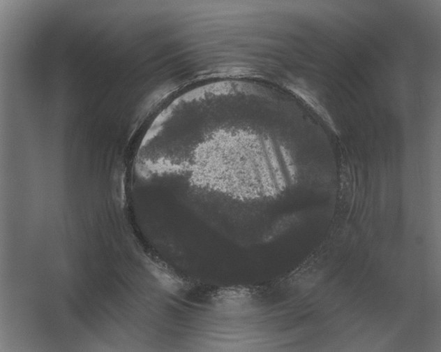X0000063440110200602031751
