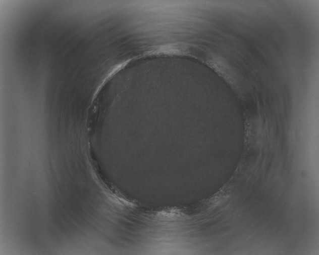 X0000063440112200602031751
