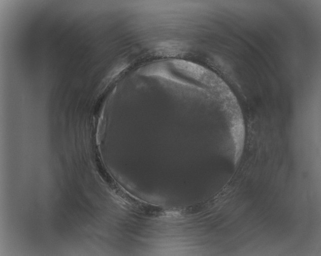 X0000063440114200602031751
