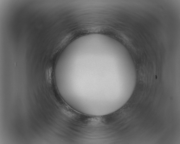 X0000063440118200602031751