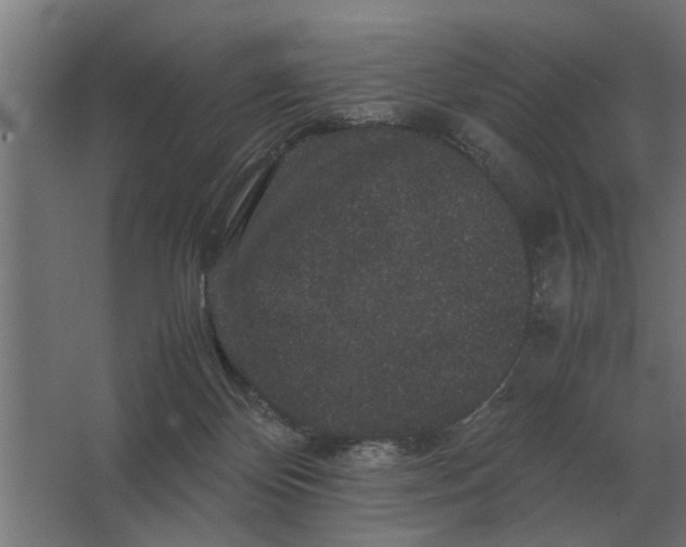 X0000063440124200602031751