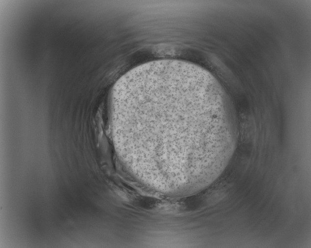 X0000063440125200602031751