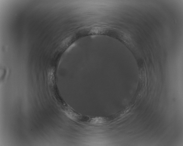 X0000063440127200602031751