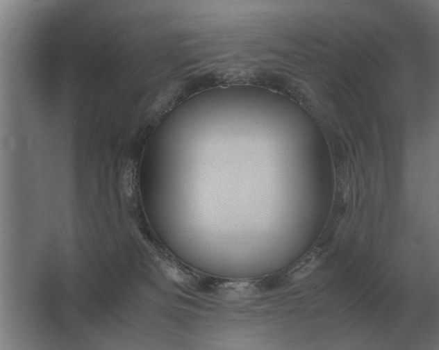 X0000063440133200602031751