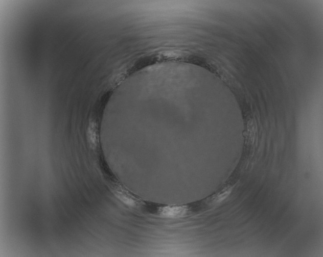 X0000063440135200602031751