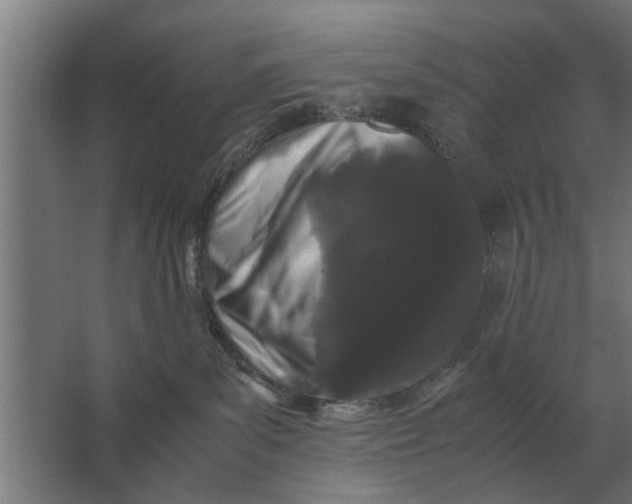X0000063440139200602031751