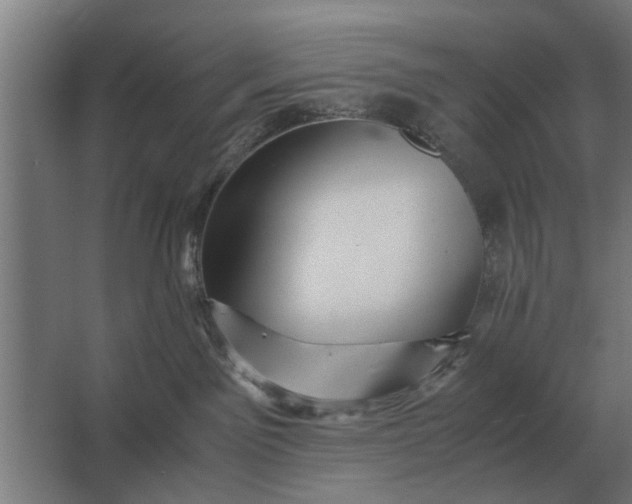 X0000063440141200602031751