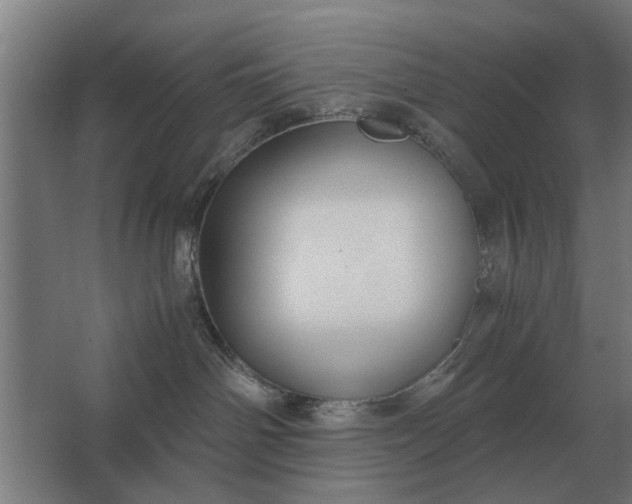 X0000063440142200602031751