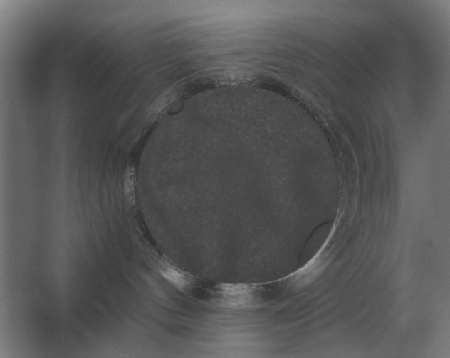 X0000063440144200602031751