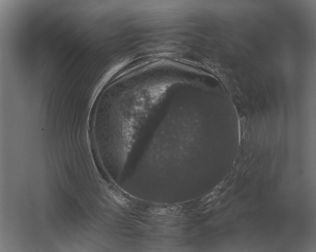 X0000063440147200602031750