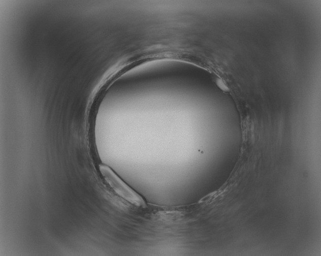 X0000063440150200602031750