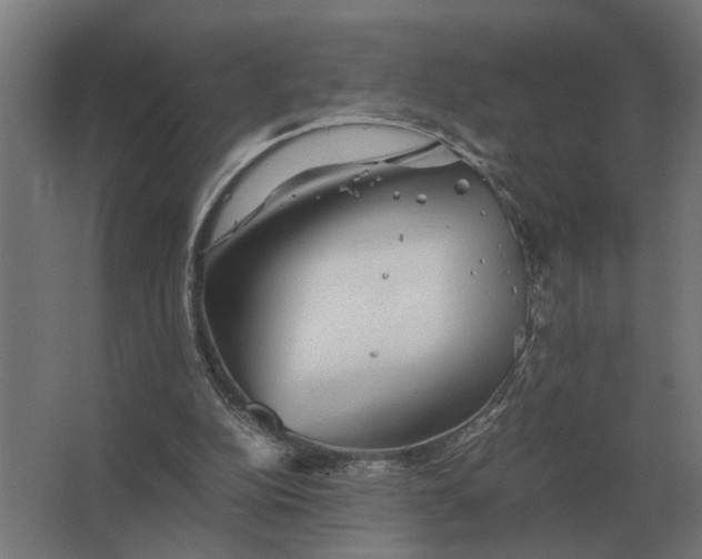 X0000063440152200602031750