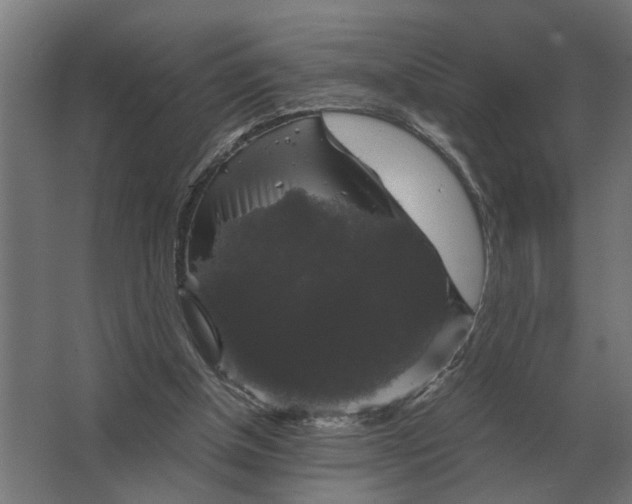 X0000063440154200602031750