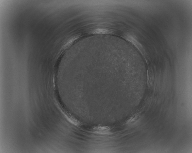 X0000063440157200602031750